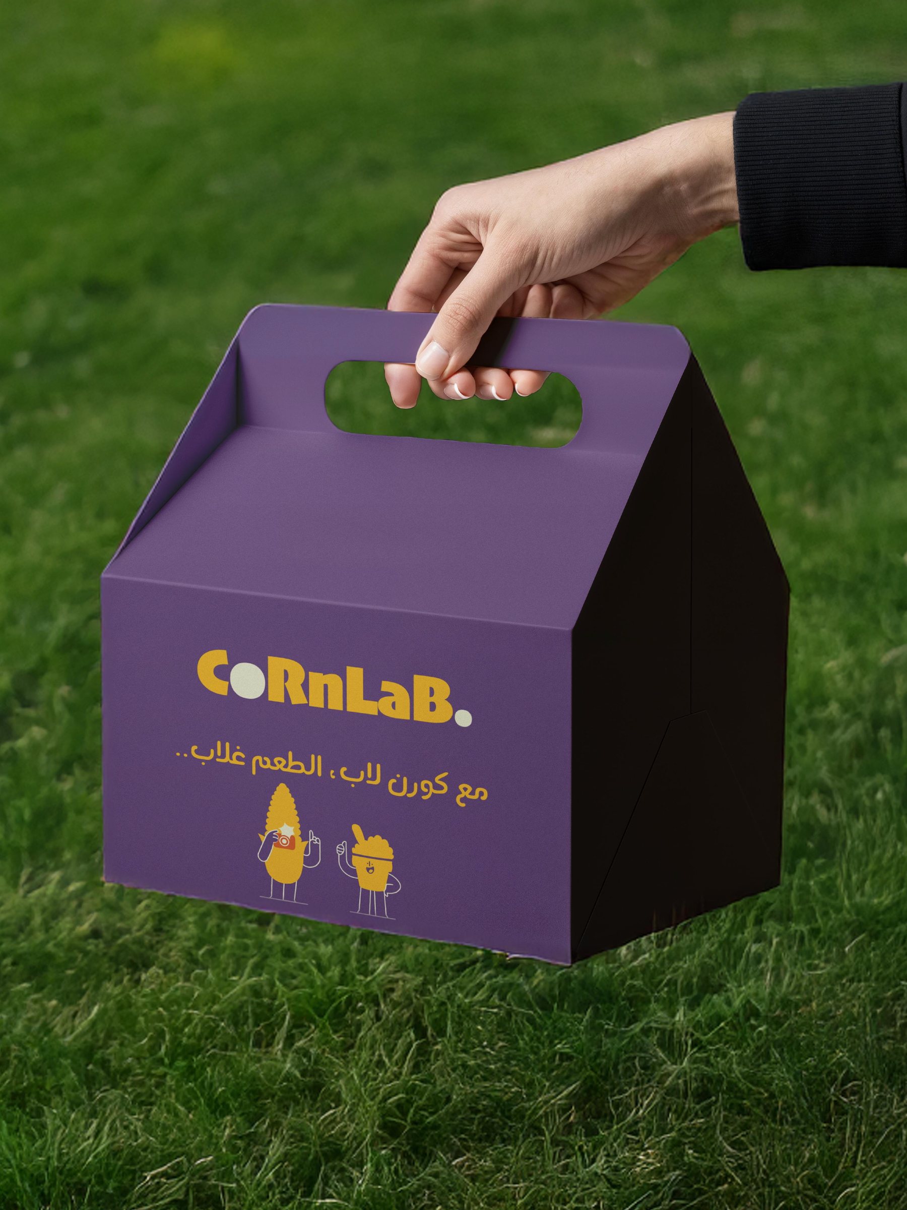 علبة CornLab البنفسجية بمقبض للحمل